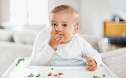 BLW Yöntemi ile Bebek Beslenmesi